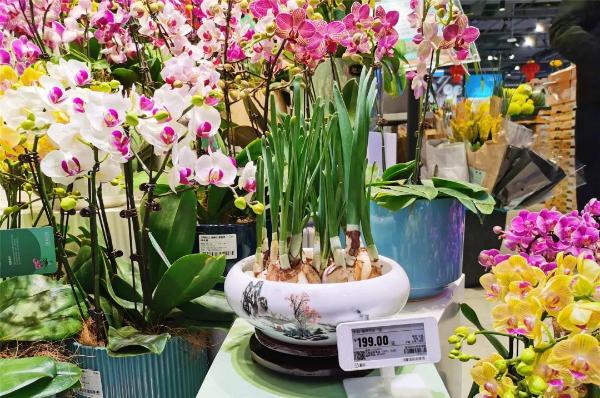 長(zhǎng)寧商圈年味濃，禮品花卉迎春俏銷紅火